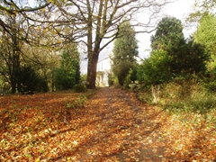 Autumn view of Wainwright House
