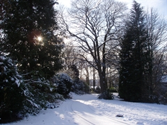 Winter snow at Wainwright House